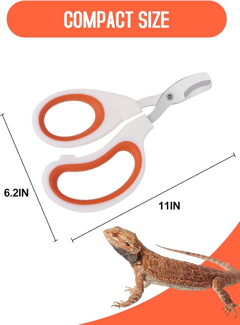 Engorgio Stainless Steel Bearded Dragon Nail Clippers,Lizard Nail Clippers,Bearded Dragon Supplies,Bearded Dragon Nail Scissors for Small Reptiles,Turtle,Chameleon,Iguana，Hedgehog（Orange） - Image 4
